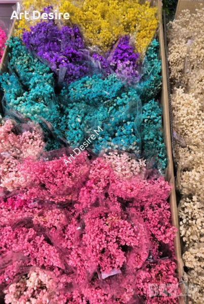 Гипсофил  Промоция , снимка 1