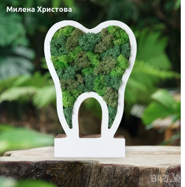 Подарък за зъболекар със скандинавски мъх , снимка 1