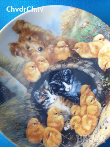 9бр Seltmann/ЗЕЛТМАН Бавария немска колекционерска декоративна порцеланова чиния-картина/животни, снимка 7 - Картини - 48371239