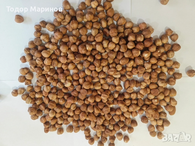 лешници био бадеми, орехи , снимка 2 - Домашни продукти - 52126717