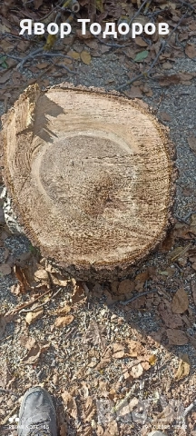 Орехов материал , снимка 14 - Дърводелски услуги - 52122704