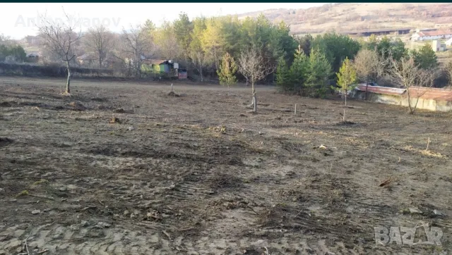 Парцели в село Малка Верея , снимка 2 - Земеделска земя - 48987653