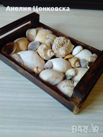Дървена щайгичка с миди, снимка 10 - Морски сувенири - 28988635