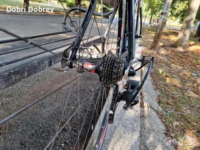 шосеен велосипед колело бегач bulls campagnolo , снимка 6 - Велосипеди - 50370228