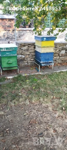 пчелни семейства , снимка 1