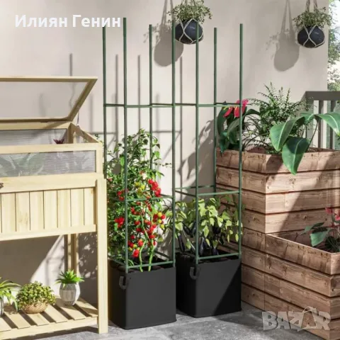 Комплект опори за растения, снимка 4 - Градински цветя и растения - 47777863
