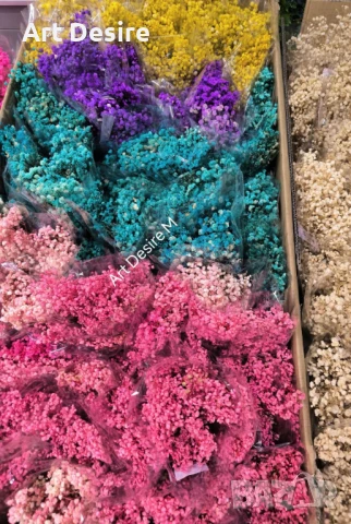 Гипсофил  Промоция , снимка 1