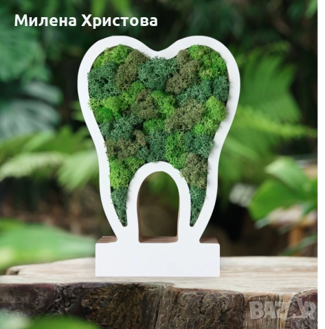 Подарък за зъболекар със скандинавски мъх 