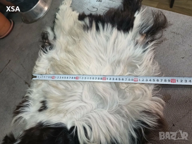 Естествени кожи от коза, снимка 10 - Други ценни предмети - 52265860