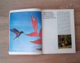 Ретро детски-енциклопедии  от80-те години, 3броя за33лв, снимка 11
