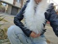 Бяла с Екрю яка Еко косъм. 75 см.и 1 м. Пух за качулка Дълъг Изкуствен.Якичка/пухче , снимка 3