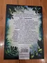 Книги 1-3 от поредицата Децата на гората - Катя Брандис, снимка 4