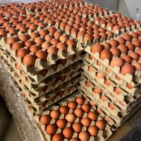 Продаваме яйца различни размери , снимка 1 - Домашни продукти - 43792001