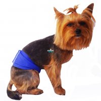 Хигиенен пояс за мъжко куче против маркиране Хигиенни дрехи за куче Пояс/Колан за мъжко куче , снимка 4 - За кучета - 27041359
