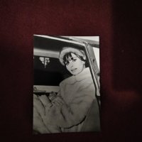 Картичка/снимка италианската актриса София Лорен , снимка 1 - Колекции - 43587133