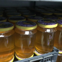 Домашен пчелен мед от производител, снимка 6 - За пчели - 44853660