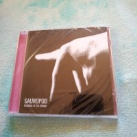 Sauropod - Roaring at the storm - Нов, снимка 1 - CD дискове - 39152134