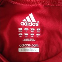 Колекционерска футболна тениска Adidas, снимка 7 - Тениски - 36797402