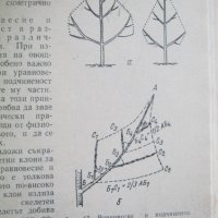 Книга Практическо овощарство, снимка 3 - Специализирана литература - 43844673