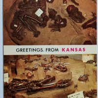 Картички Канзас, снимка 6 - Филателия - 35602201
