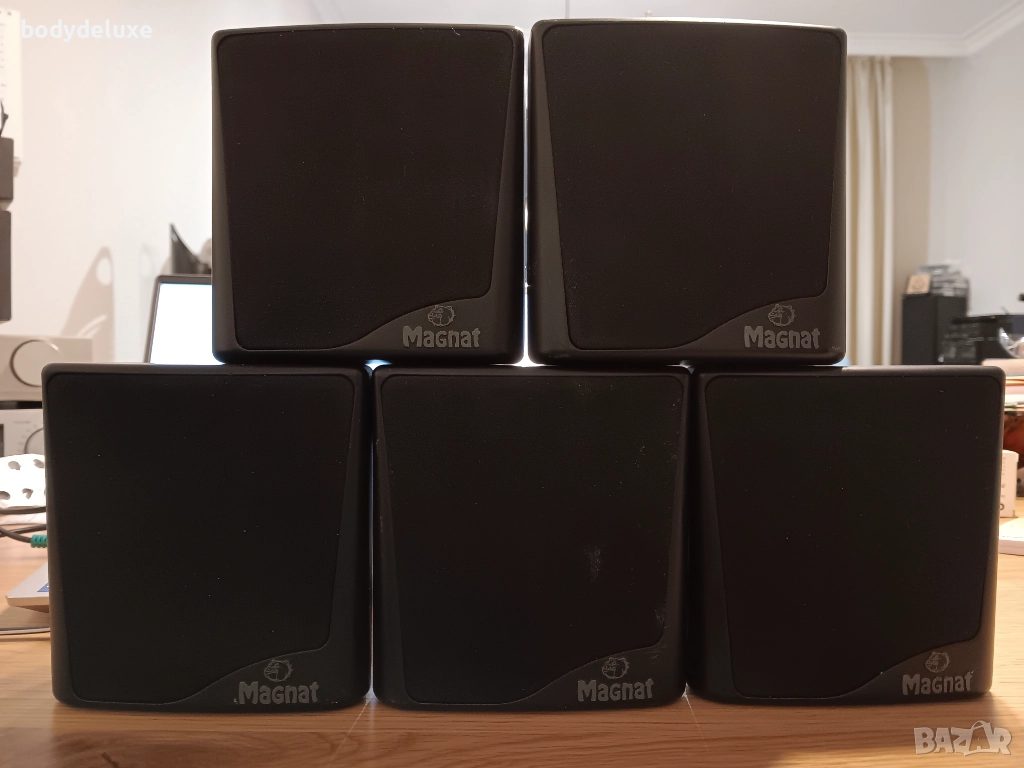 Magnat двулентови сателити, снимка 1