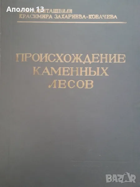 ПРОИСХОЖДЕНИЕ КАМЕННЫХ ЛЕСОВ, снимка 1