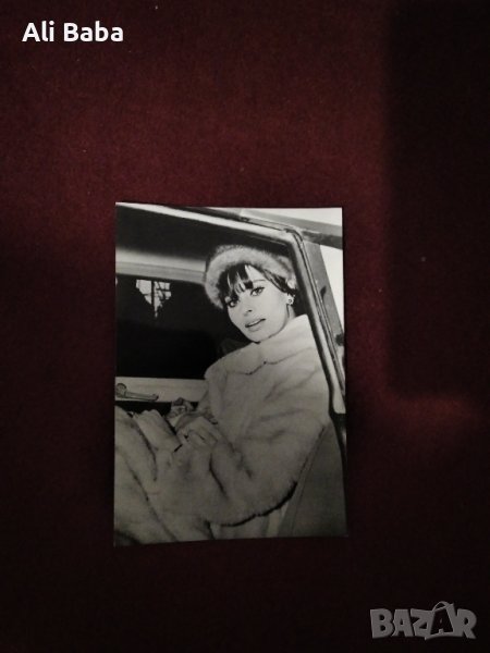 Картичка/снимка италианската актриса София Лорен , снимка 1