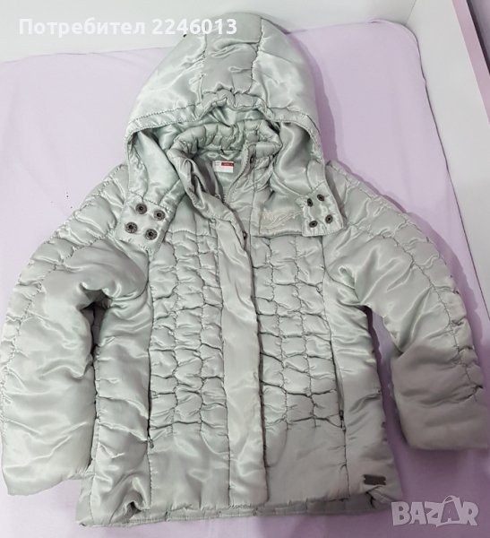 Детско сиво якенце, снимка 1