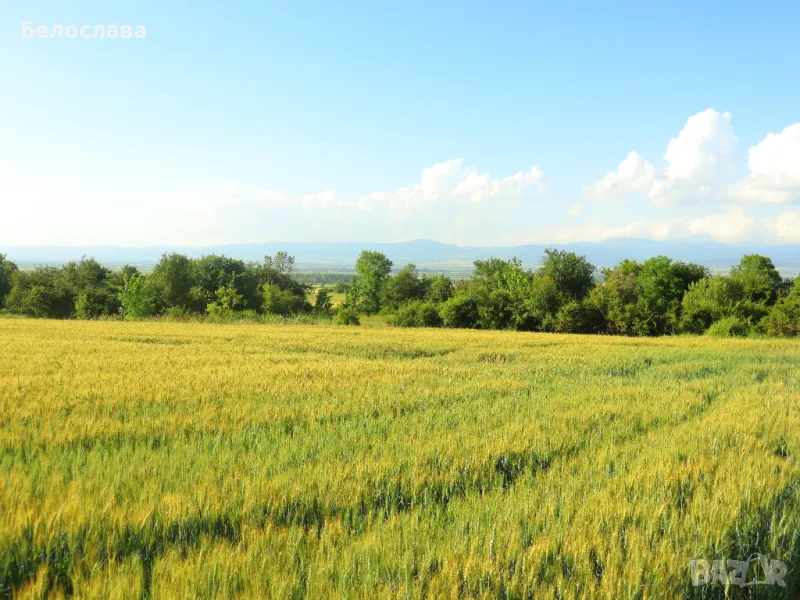 Парцел село Нови хан,1700 кв.м., снимка 1