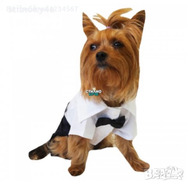 Официален костюм за куче Кучешки смокинг Кучешки дрехи Дрехи за куче Официални кучешки дрехи, снимка 1