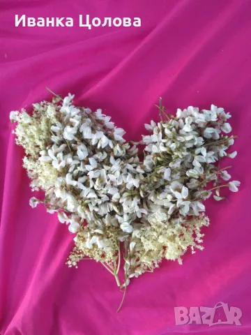 Детегледачка / домашна помощница, снимка 9 - Детегледачки - 47896632