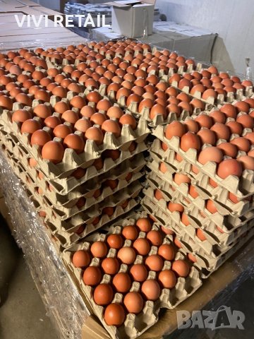 Продаваме яйца различни размери , снимка 1 - Домашни продукти - 43792001