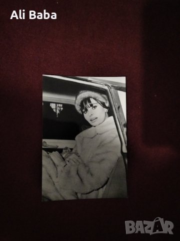 Картичка/снимка италианската актриса София Лорен , снимка 1 - Колекции - 43587133