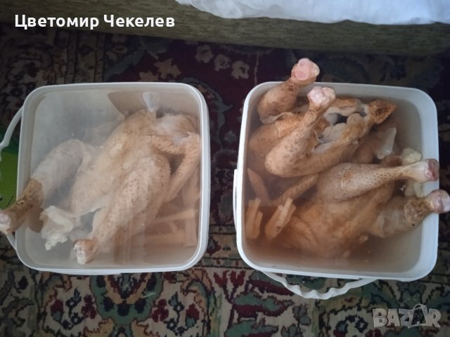 Кокошки- изчистени