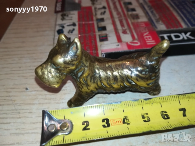 ЗАЯВЕНО-Шотландски териер-КУЧЕ МЕД МЕСИНГ-ВНОС ФРАНЦИЯ 0609251636