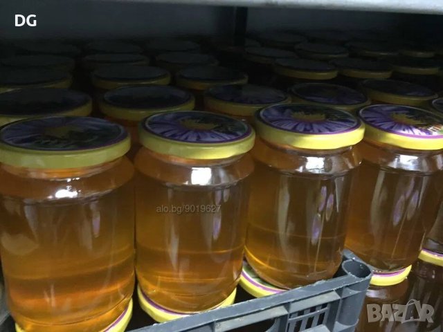 Домашен пчелен мед от производител, снимка 6 - За пчели - 44853660