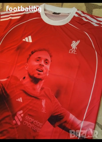 DIOGO J. ❤️⚽️ детско юношески футболни екипи LIVERPOOL , снимка 9 - Футбол - 37281081