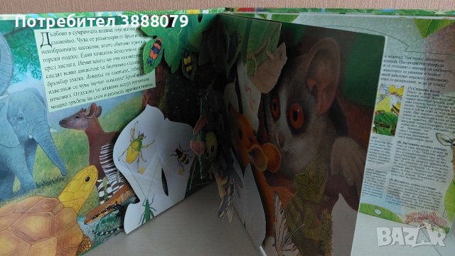 Детска книга със звуци " Горите около Екватора ", снимка 3 - Детски книжки - 43739523