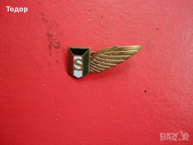 Армейски бронзов знак с емайл , снимка 7 - Колекции - 52615815