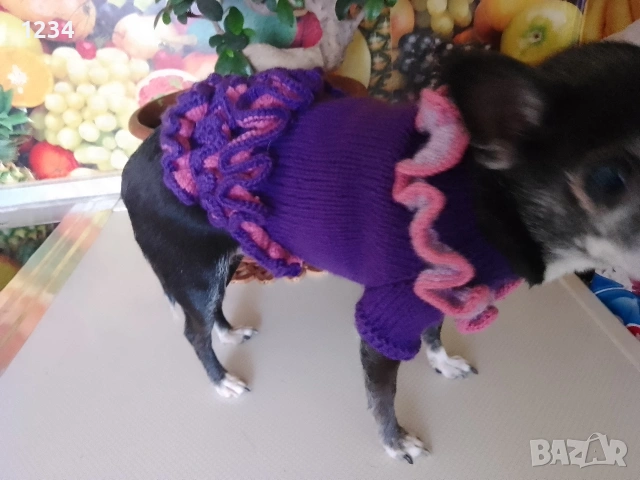 кучешка плетена дреха, снимка 5 - За кучета - 53389623