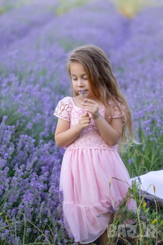 лавандилова сесия на 5мин.Пловдив , снимка 3 - Фотографи - 50738156