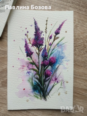 Картички , Лавандула,,