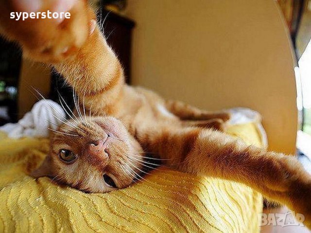 Монопод Mini Селфистик за Телефон за селфита Digital One SP00026 Зелен Monopod 48 см. стойка selfie , снимка 8 - Калъфи, кейсове - 13423381