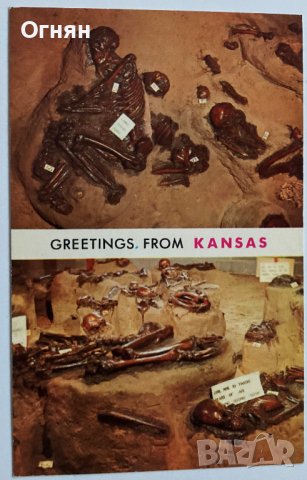 Картички Канзас, снимка 6 - Филателия - 35602201