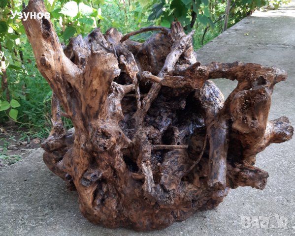 Декорация за градина-корен от дъб, снимка 9 - Декорация за дома - 37780550
