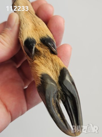 Стар немски ловен нож, снимка 3 - Ножове - 44086070