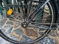 Дамско колело, снимка 5