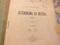 Книга 1902г Песимизмътъ  на Ибсена, снимка 7