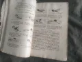 Продавам книга " Плуване и плувен спорт " Е. Атанасов , 1937, снимка 7