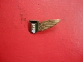Армейски бронзов знак с емайл , снимка 7